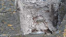 acastle 144040.jpg